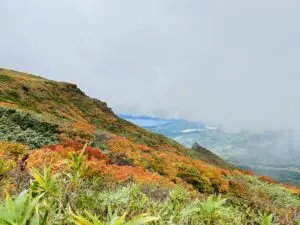 いー秋田ドットコム | 見頃 秋田駒ケ岳 紅葉 仙北市