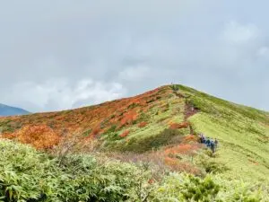 いー秋田ドットコム | 見頃 秋田駒ケ岳 紅葉 仙北市