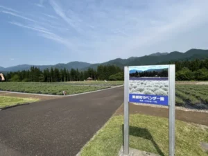 いー秋田ドットコム | 心に沁みる 妊娠１０週から１２週 母の想いとニテコサイダー 美郷町