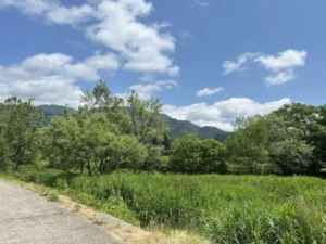 いー秋田ドットコム | 童心に返る 釣り堀で釣り体験 イワナの里 湯沢市