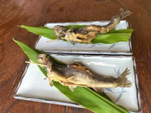 いー秋田ドットコム | 童心に返る 釣り堀で釣り体験 イワナの里 湯沢市