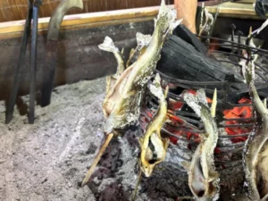 いー秋田ドットコム | 童心に返る 釣り堀で釣り体験 イワナの里 湯沢市