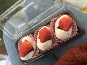 いー秋田ドットコム|春の足音 苺大福 羽後の道の駅 羽後町